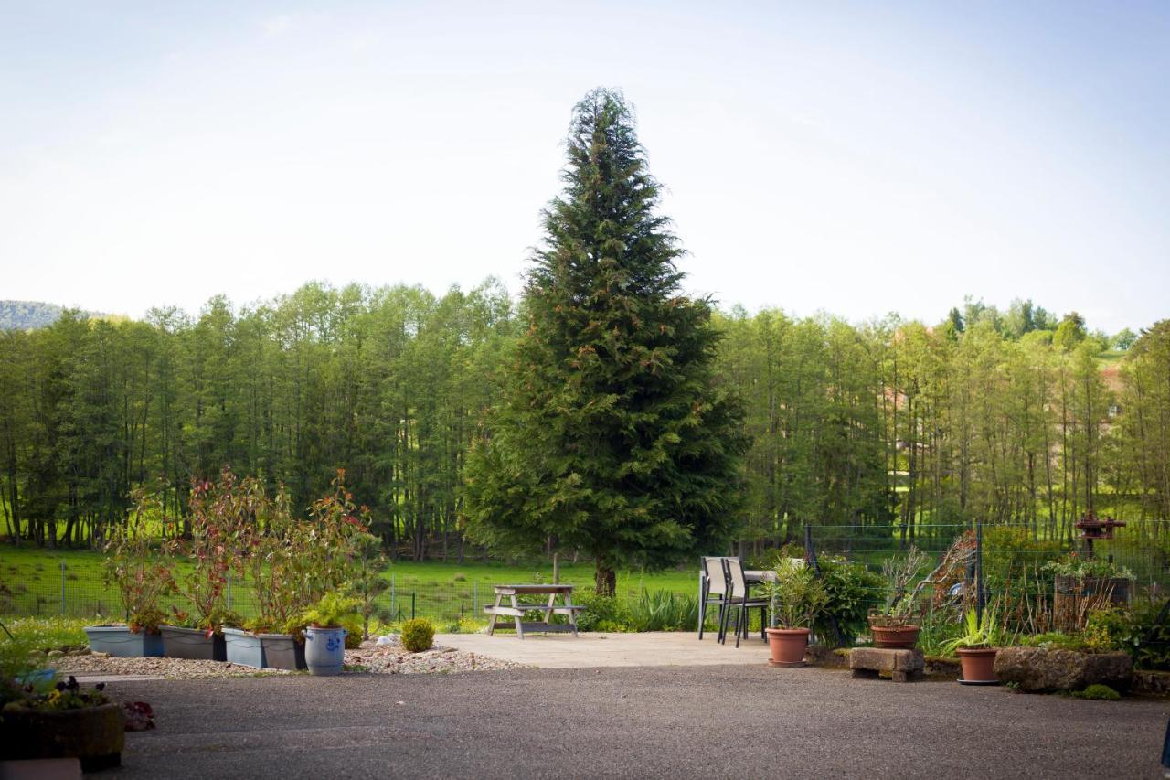 Gîte du cerf Birkenwald Extérieur photo